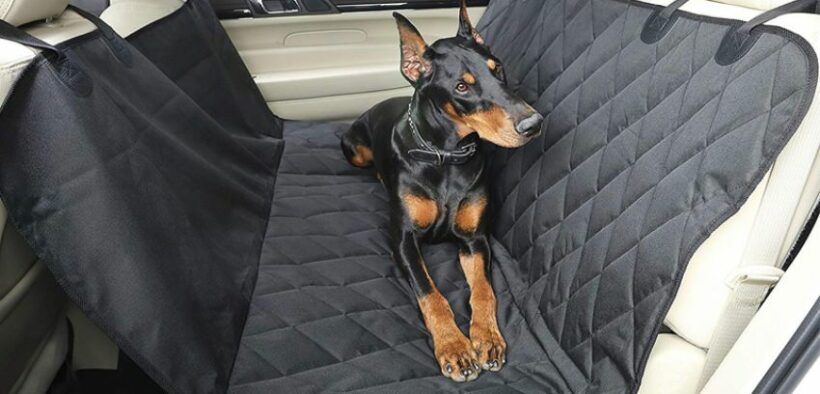 55-Making-Car-Rides-a-Joy-for-Your-Furry-Friend_-Top-Dog-Car-Seat-Covers